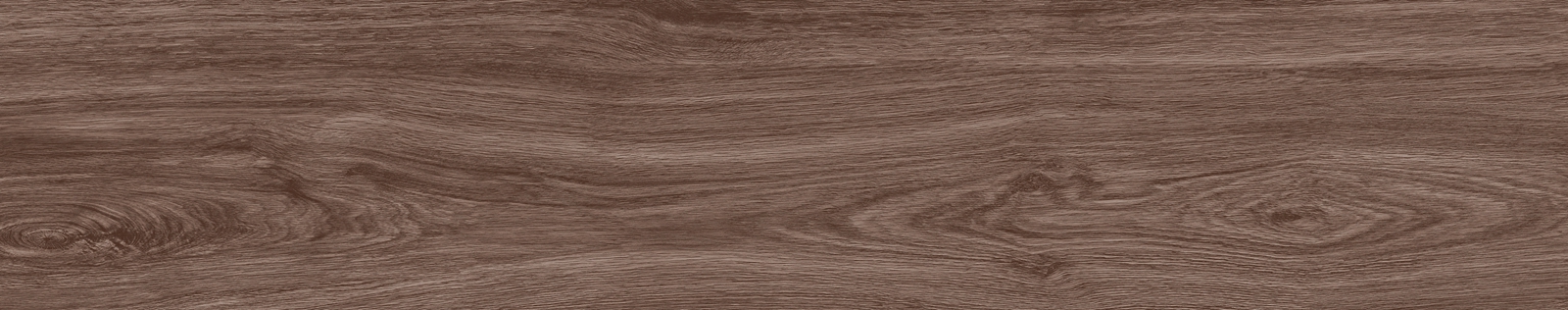 FM21004
